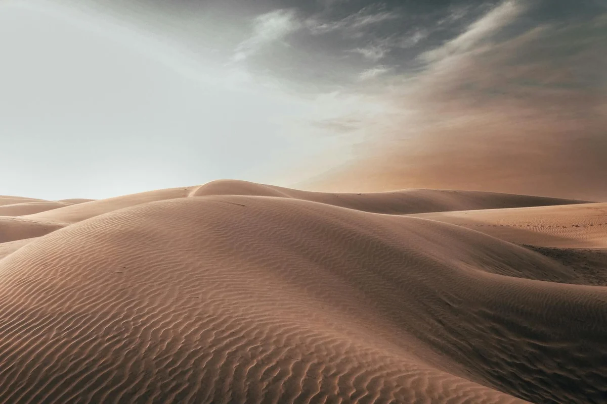 Smooth sand dunes with ripples and a soft sky, illustrating desert-like substrate.