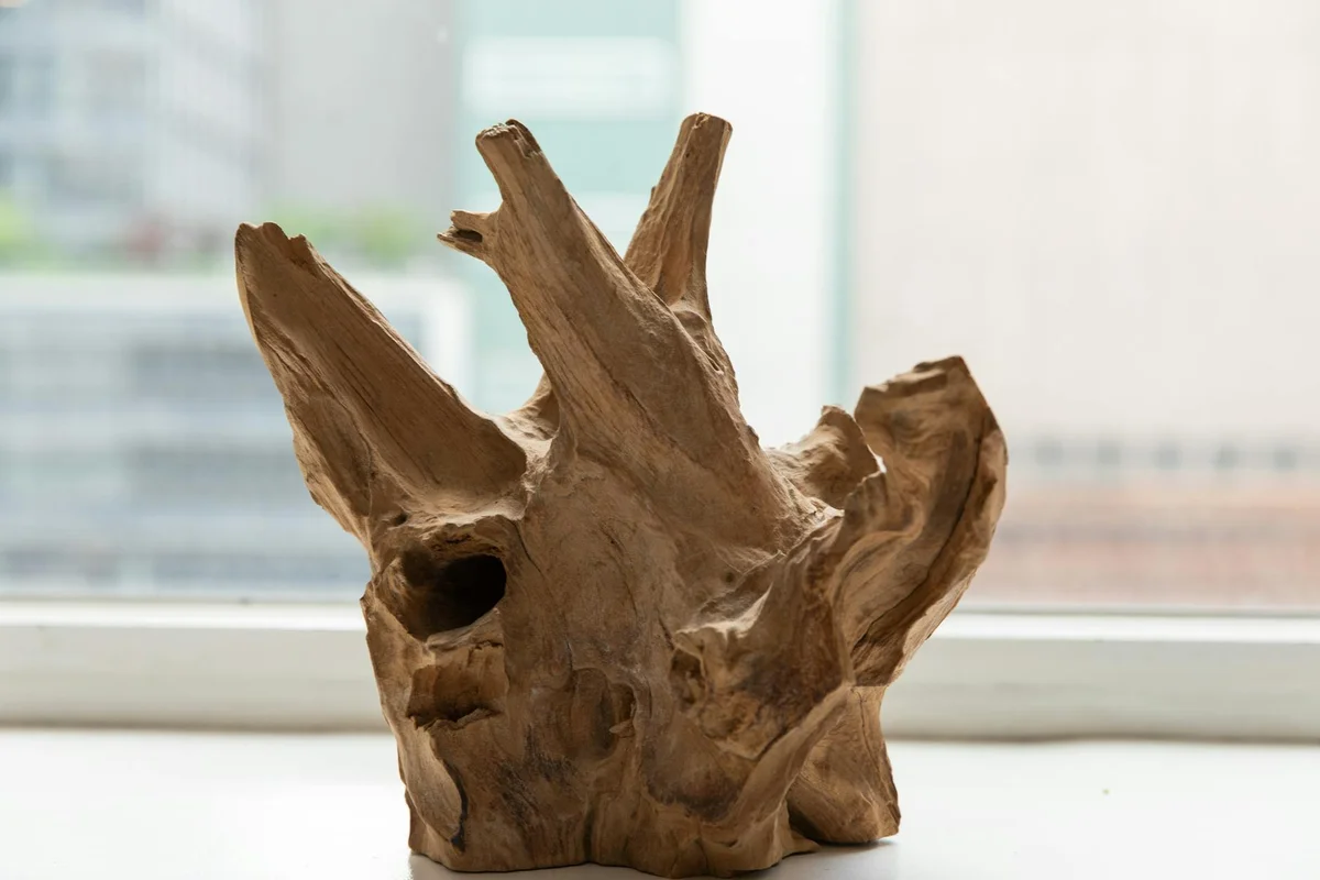 A rough piece of driftwood on a windowsill, suitable as a decorative and functional wood element for hermit crab habitats.