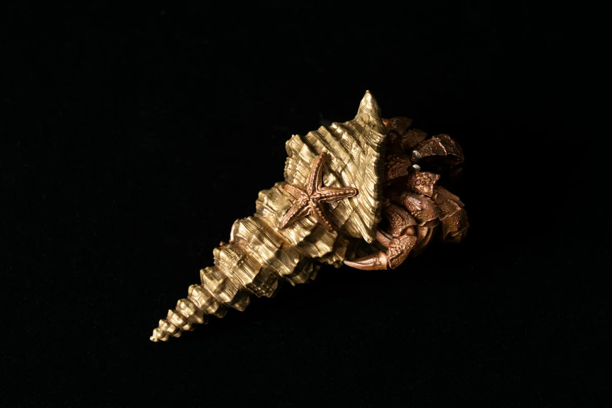 Golden spiral shell on a black background