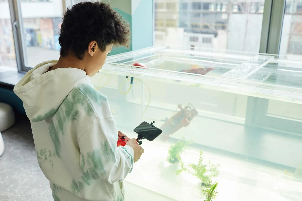 Person adjusting a hermit crab tank near a bright window, illustrating careful placement and setup for humidity, temperature, and observation