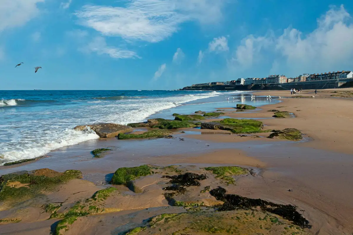 Rocky beach with green algae clinging to rocks along the shoreline, gentle waves, and a distant town on the horizon under a bright blue sky.