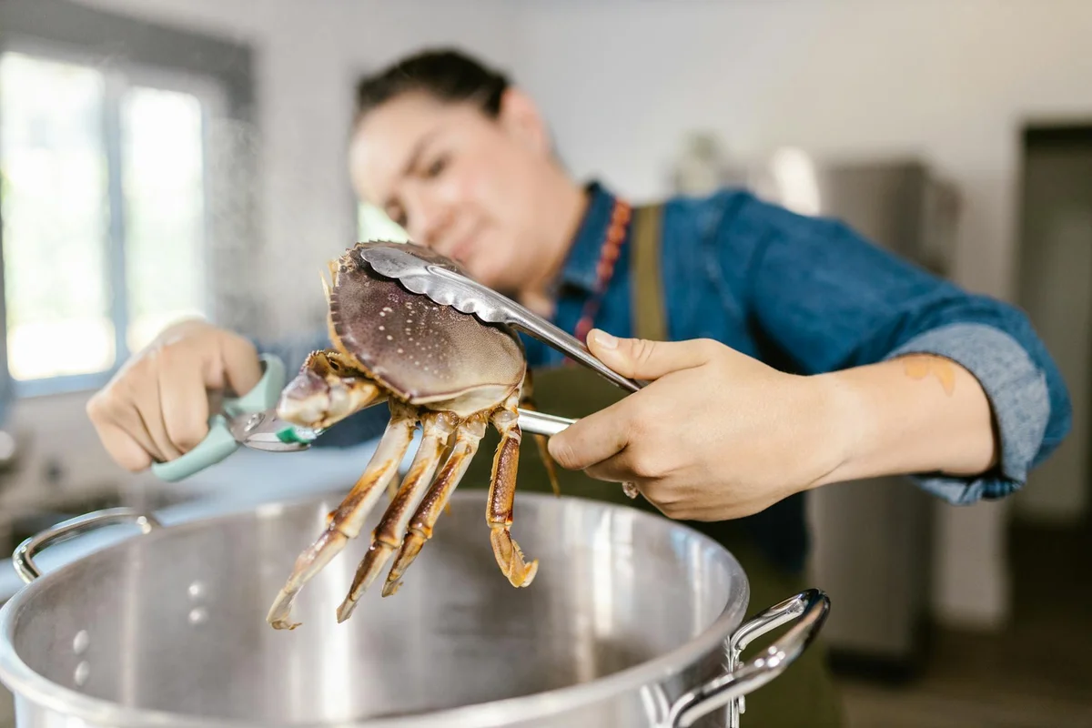 Researcher using tongs to handle a live crab over a large metal pot in a bright indoor setting, illustrating a controlled observation environment.