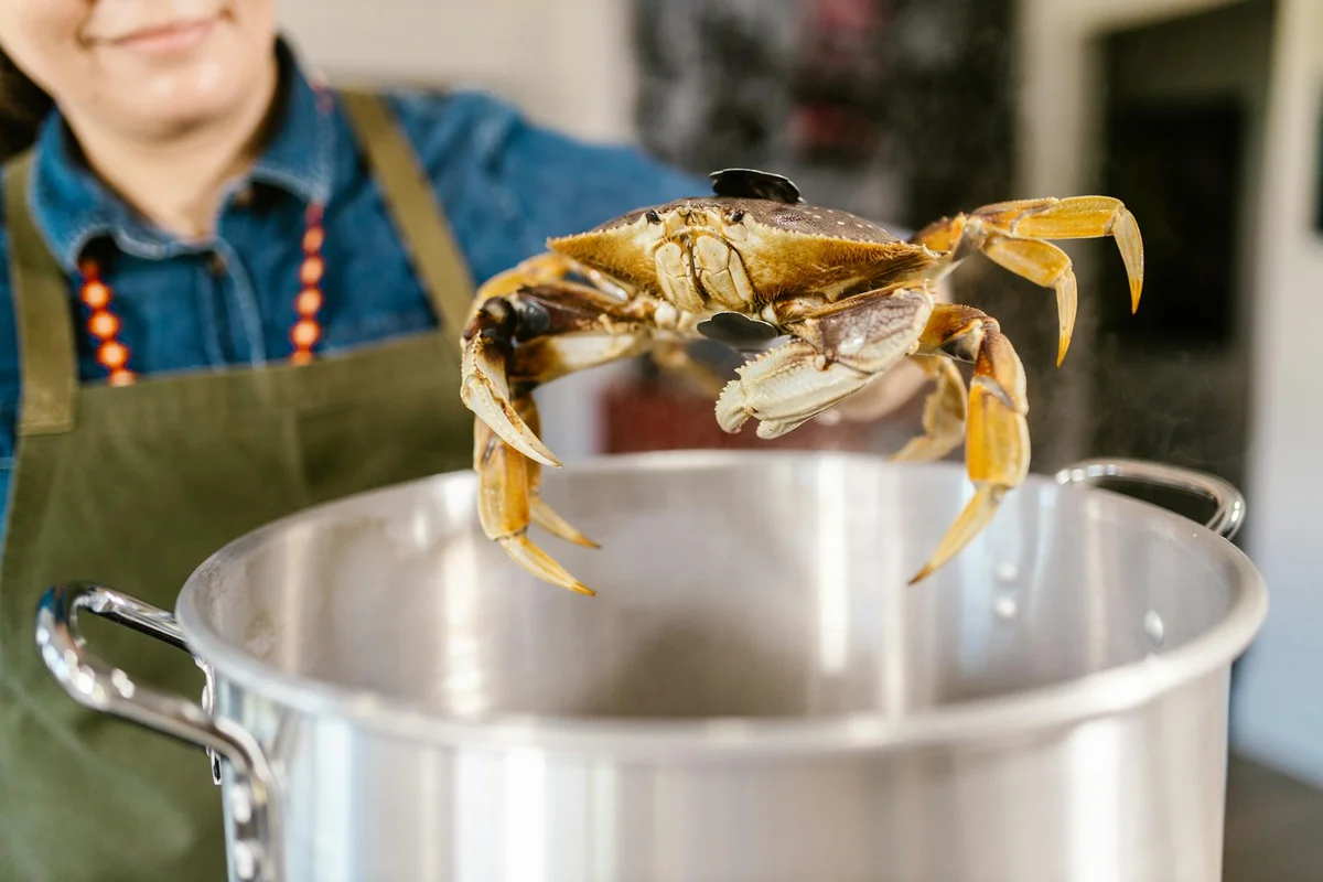 Person wearing an apron lifts a hermit crab over a large stainless steel pot, suggesting careful handling and organized storage of emergency supplies.
