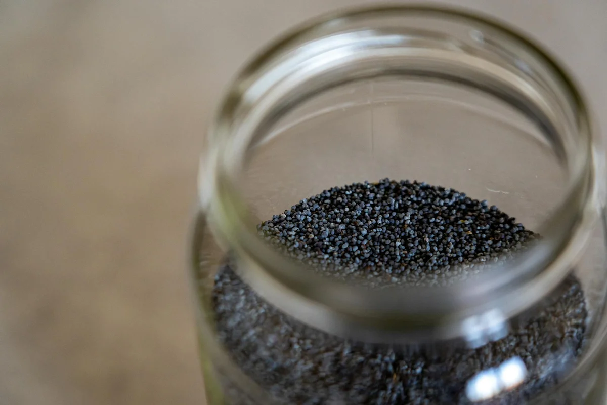 Close-up of a glass jar filled with small dark pearl-like pellets used as hermit crab food.