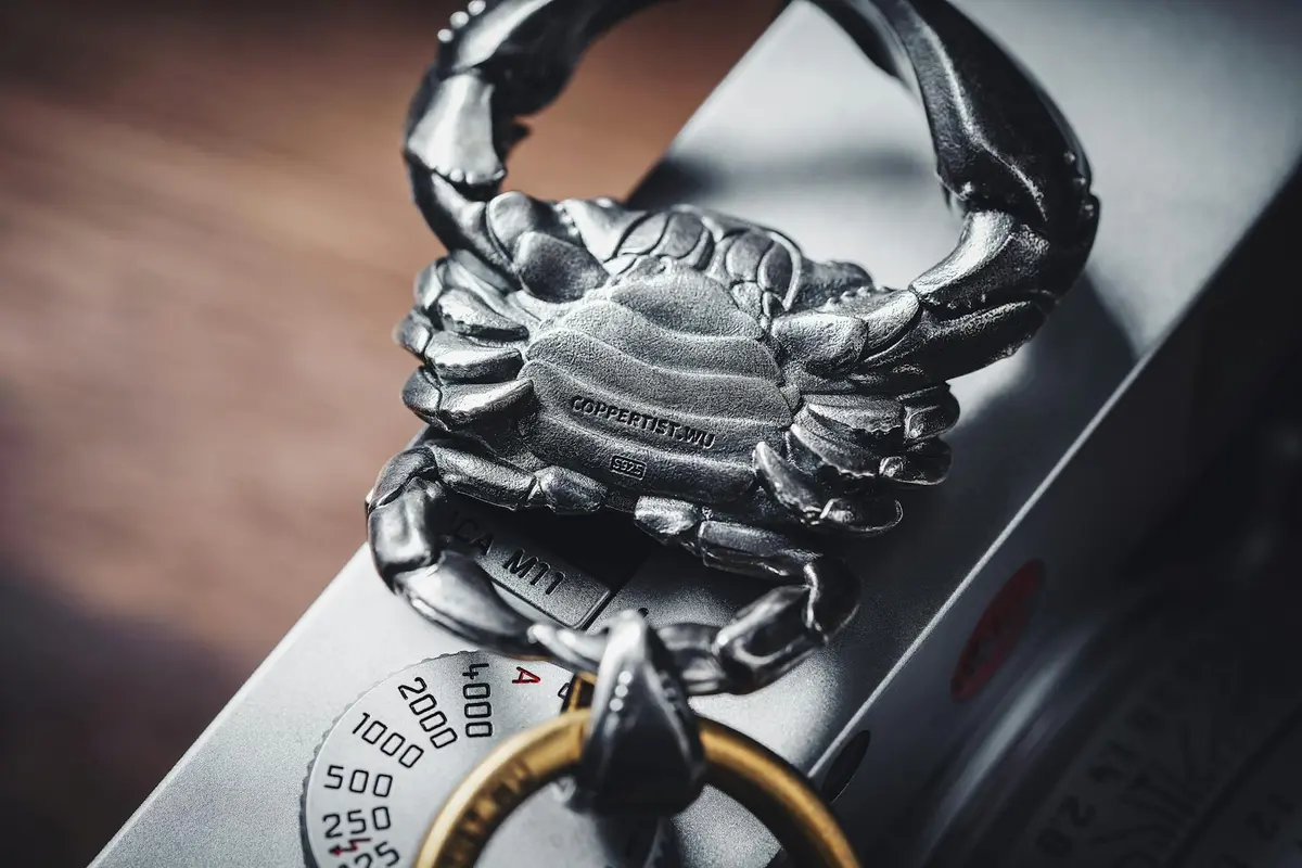 Macro close-up of a dark, textured shell-like form on a metal surface; an abstract image used to symbolize growth and life-stage progression in hermit crabs.