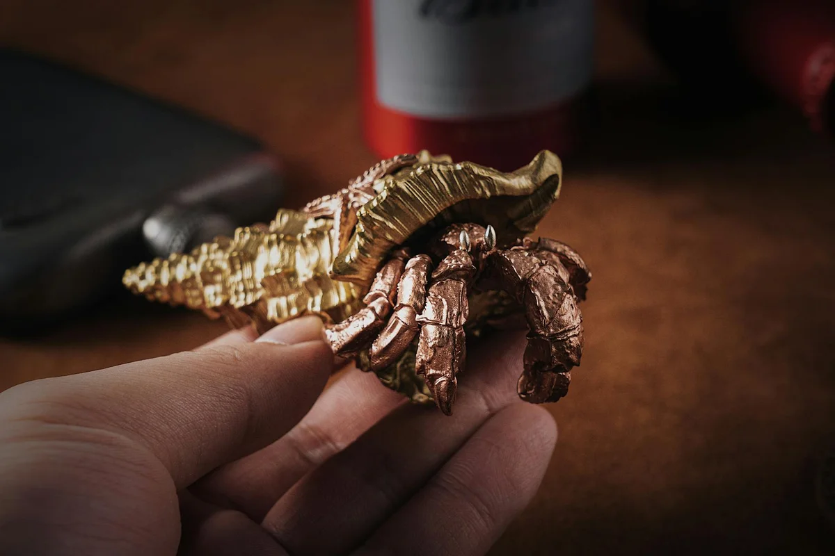 Close-up of a person’s hands holding a hermit crab and its shells, illustrating shell health care.