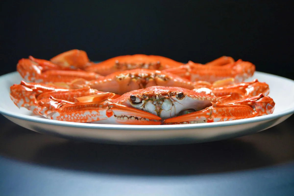 Group of red-orange hermit crabs clustered on a white plate