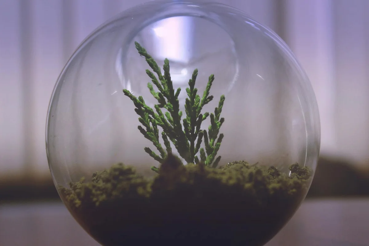 A small glass terrarium ball containing a green plant sprouting from soil, suitable for including in a hermit crab habitat.