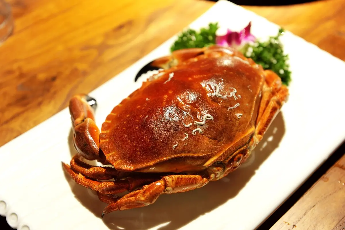 A cooked crab on a white plate with a small garnish in the background.