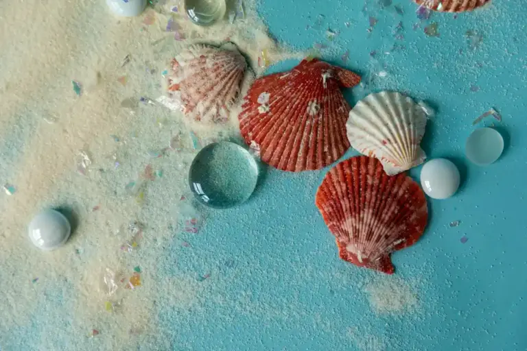Assorted seashells on a blue sandy surface, including red and white scallop shells and small smooth shells.