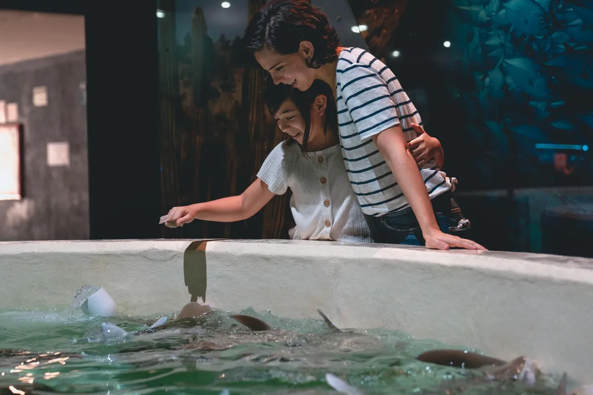 A man and a child leaning over a large water tank or aquarium, looking inside.